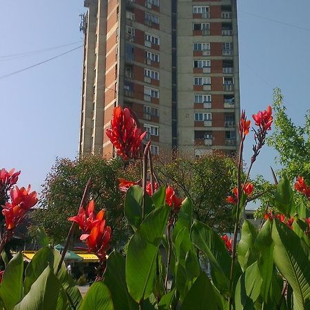 Hotel Konaciste Goc Trstenik Exteriér fotografie